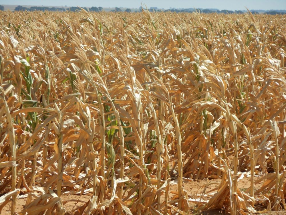 Why climate could be South Africa’s next big economic challenge