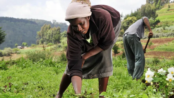Women head most agricultural households but remain underrepresented in commercial farm ownership