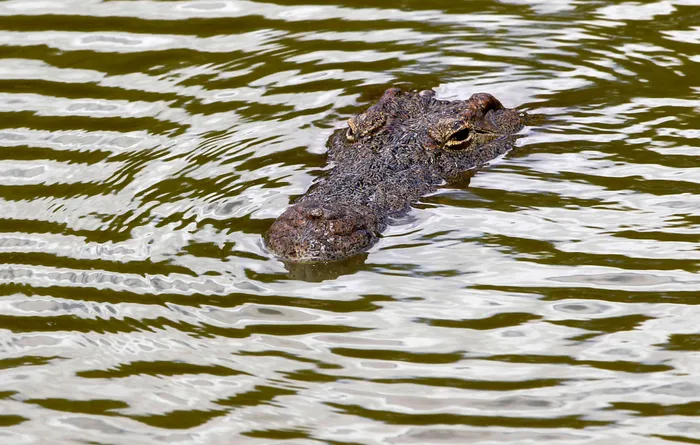 File picture: Mike Hutchings/Reuters