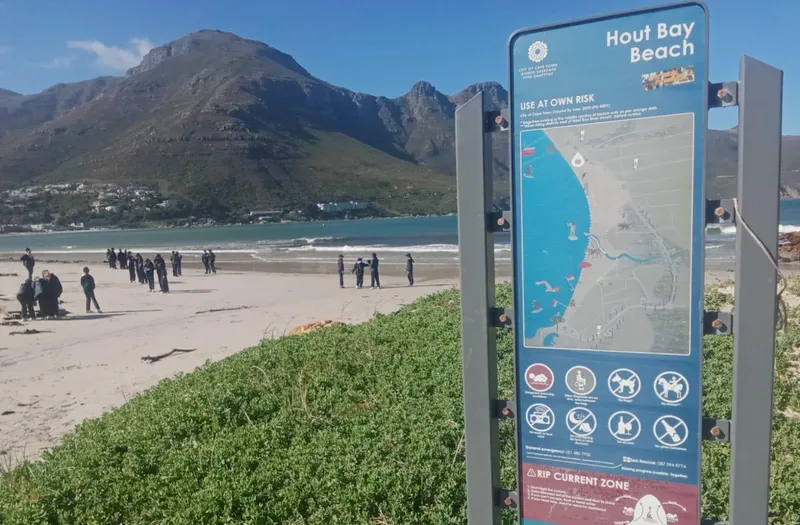 Safety fears grow as unleashed dogs roam Hout Bay beaches