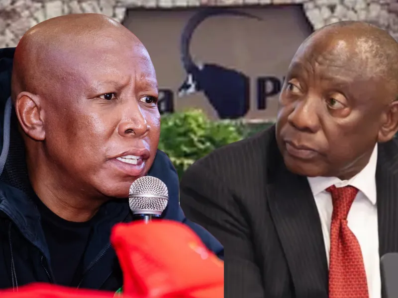 IOL | South African Politics News – Key Updates & Analysis