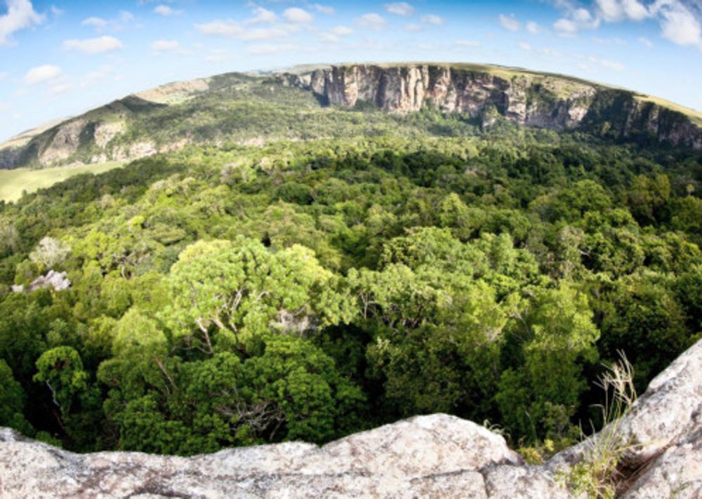 South Africa's Mkambati Nature Reserve designated as first Ramsar site in Eastern Cape