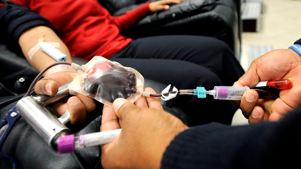 South Africa faces blood donation crisis as National Blood Donation Month begins