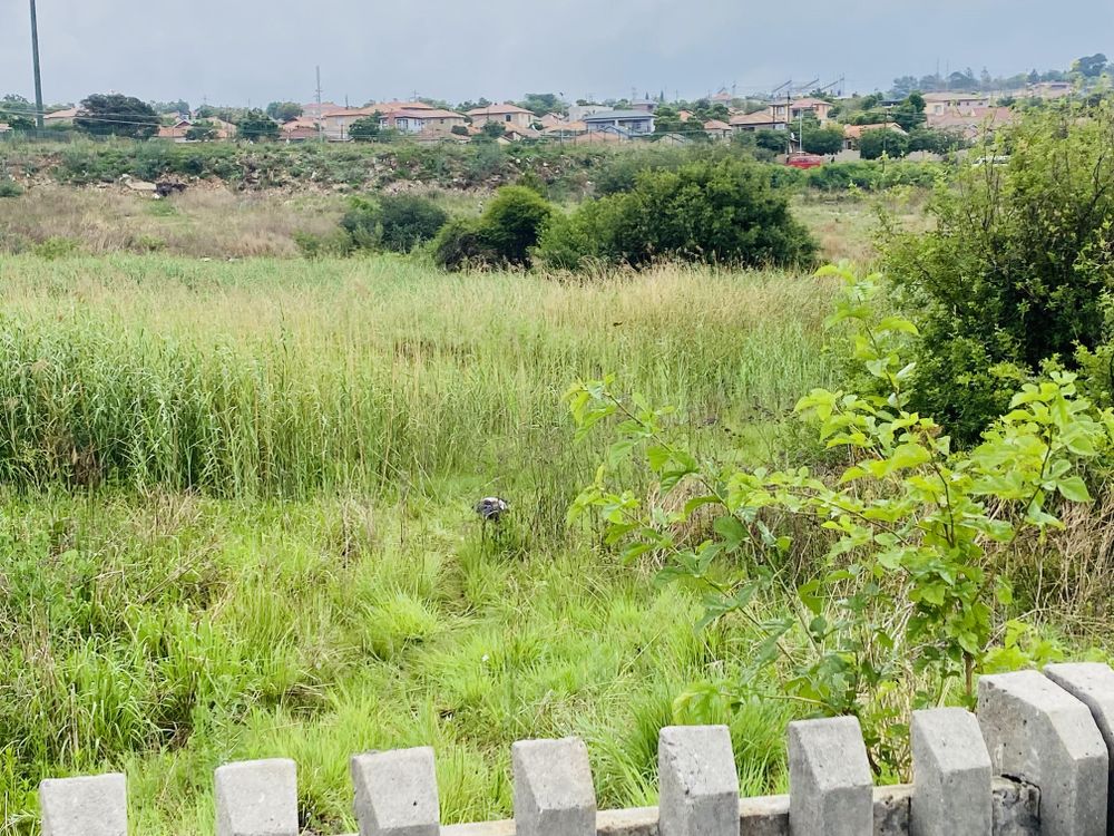 Deadly police operation in Cosmo City: Manhunt for cop killer, Jabulani Moyo