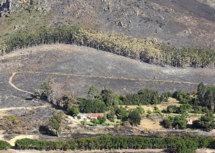 Brian van Wilgen, of the CSIR's natural resources and environment department and Stellenbosch University's centre for invasion biology, says it's also too soon to confirm claims that the fires in places like the Wemmershoek mountains have caused an "ecological disaster". Picture: Neil Baynes