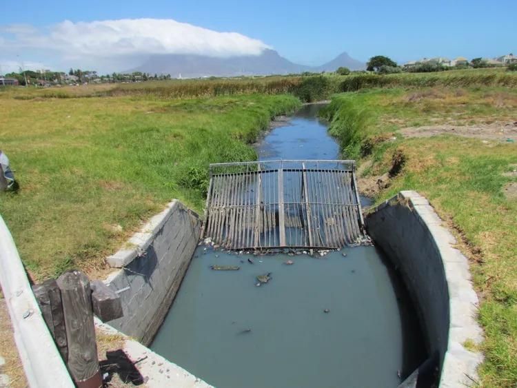 Environmental activists challenge Cape Town's air quality claims around Milnerton Lagoon