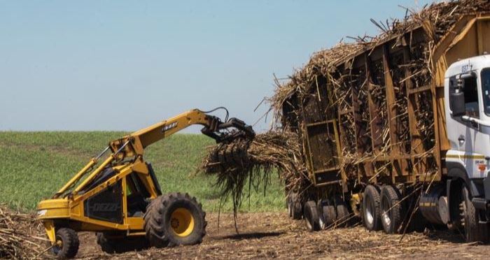 Tycoon Robert Gumede champions job security as Tongaat Hulett liquidations are withdrawn