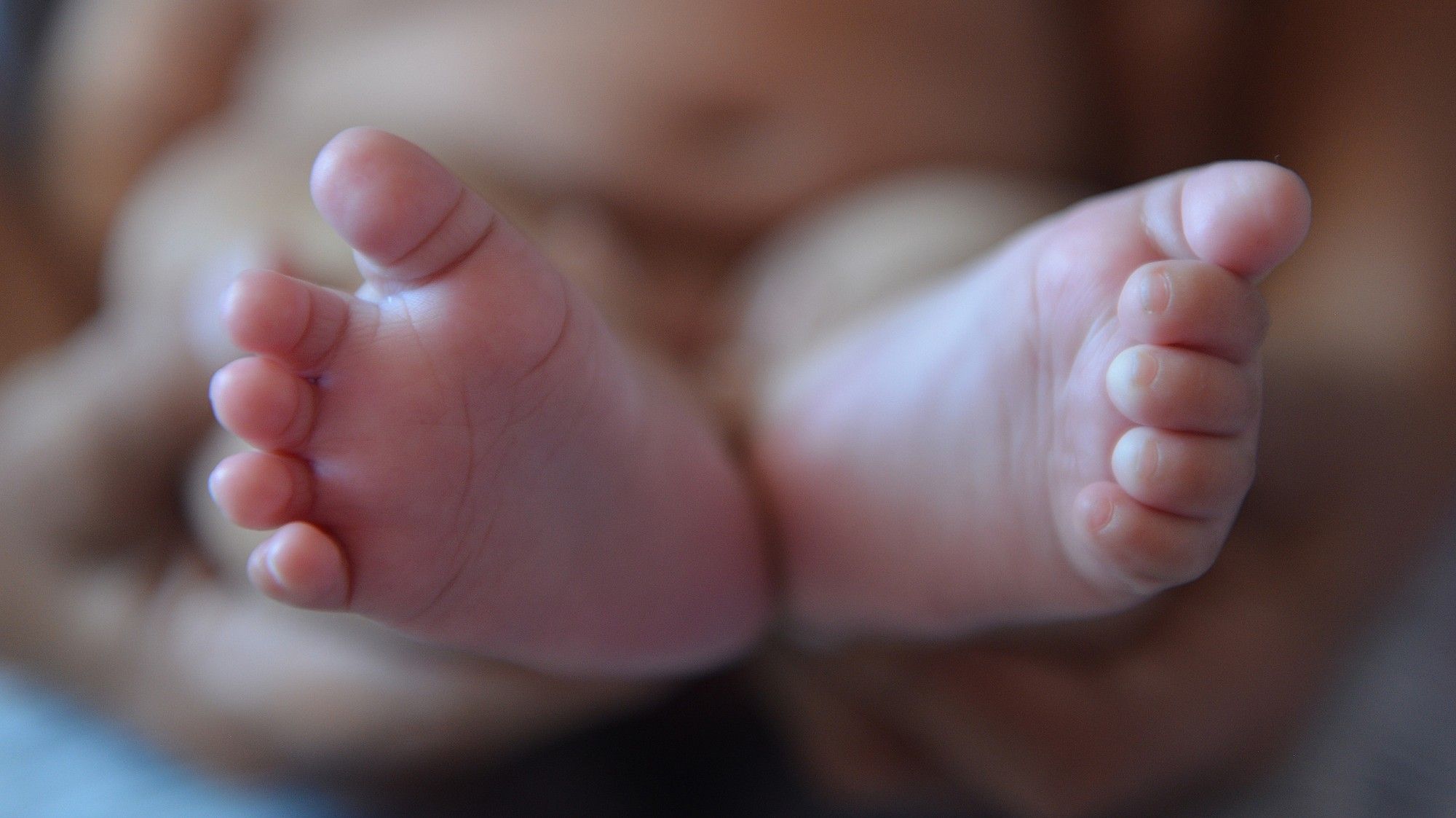 Kraaifontein community shocked by baby found in waste bin
