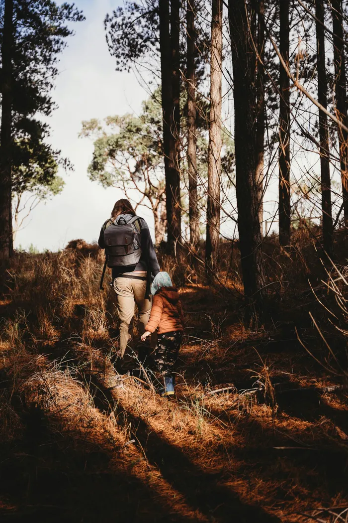 From peaceful forest walks to scenic coastal paths, these easy hikes are ideal for first-time hikers and families.