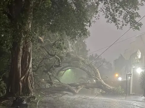 Mop-up operations commence in KZN after severe storms wreak havoc