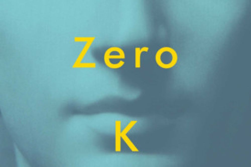 Zero K book review: powerful meditation on life