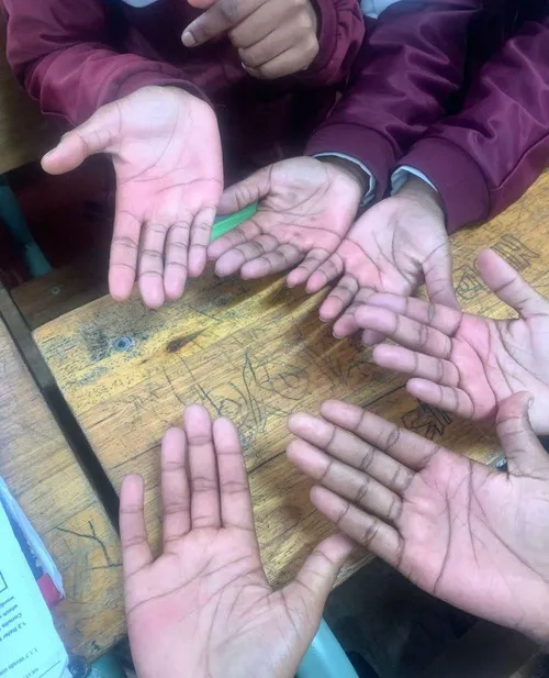 WCED investigates corporal punishment claims at Khayelitsha and Crossroads schools