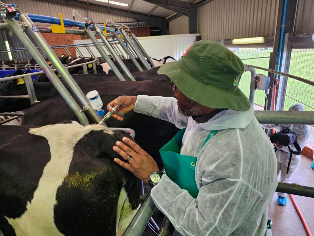 Slow Foot-and-Mouth vaccination pace: Farmers warn of impending disaster for economy