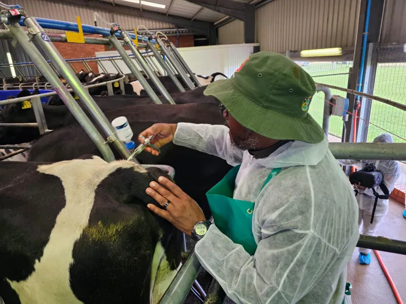 Farmers challenge state control in court over foot-and-mouth disease vaccinations