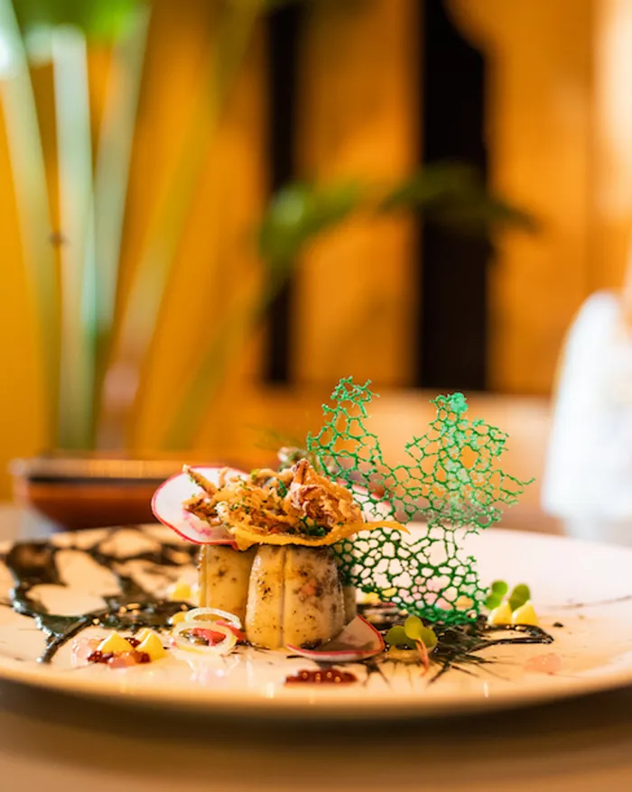 Patagonia squid stuffed with sushi rice, squid ink, kewpi mayo, crispy tentacles, coriander and teriyaki pearls with pickled ginger, radish, crispy wonton and bonito flakes. Picture: Supplied