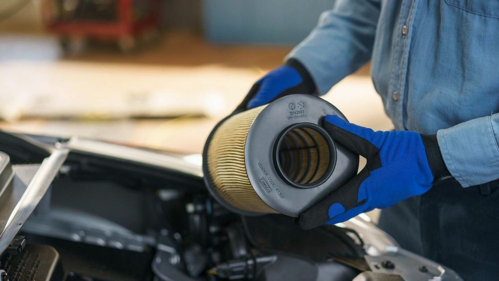 South Africa's critical skills crisis intensifies, survey reveals