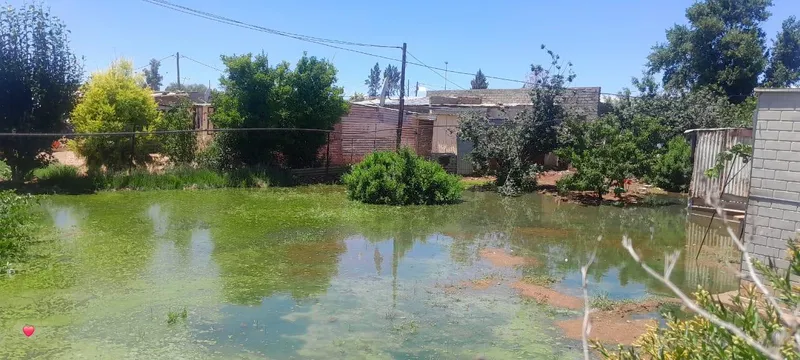 Community steps in after sewage problems leave Ritchie grandmother homeless