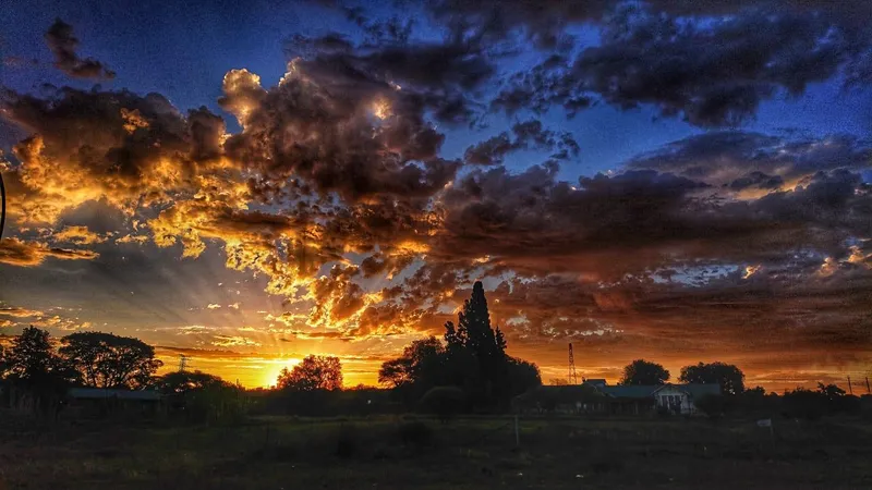 Thank you for being part of the DFA in 2025