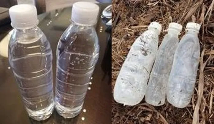 Local entrepreneurs Nicholas De Beer and Kyle Creese from Fortis X, supplier of biodegradable materials, made their zero-plastic, sugar cane bottles that decompose entirely after four weeks. Pictures: Supplied / Fortis X