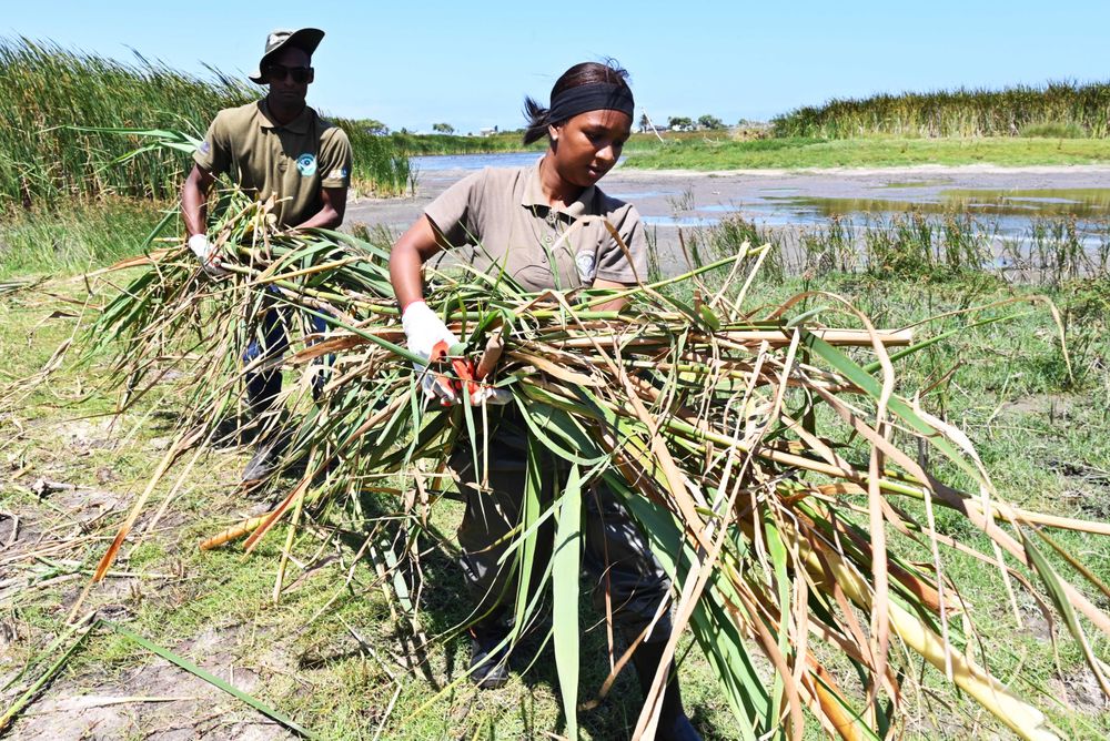 Celebrating World Wetlands Day 2026: a call to action for conservation