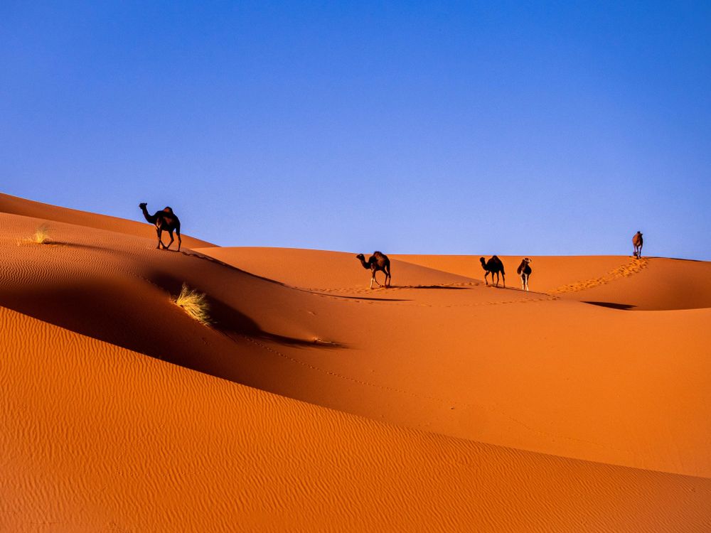 From the pyramids to Victoria Falls: 10 Wonders that make Africa the ultimate travel continent