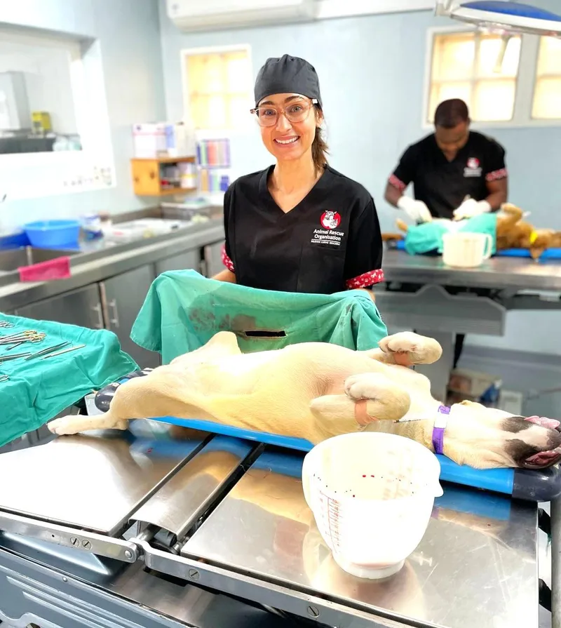 Animal Rescue Organisation welcomes new veterinarian Dr Esté Spies