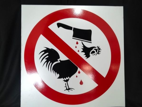 Cultural practices vs public health - the chicken slaughter debate at Amanzimtoti beaches