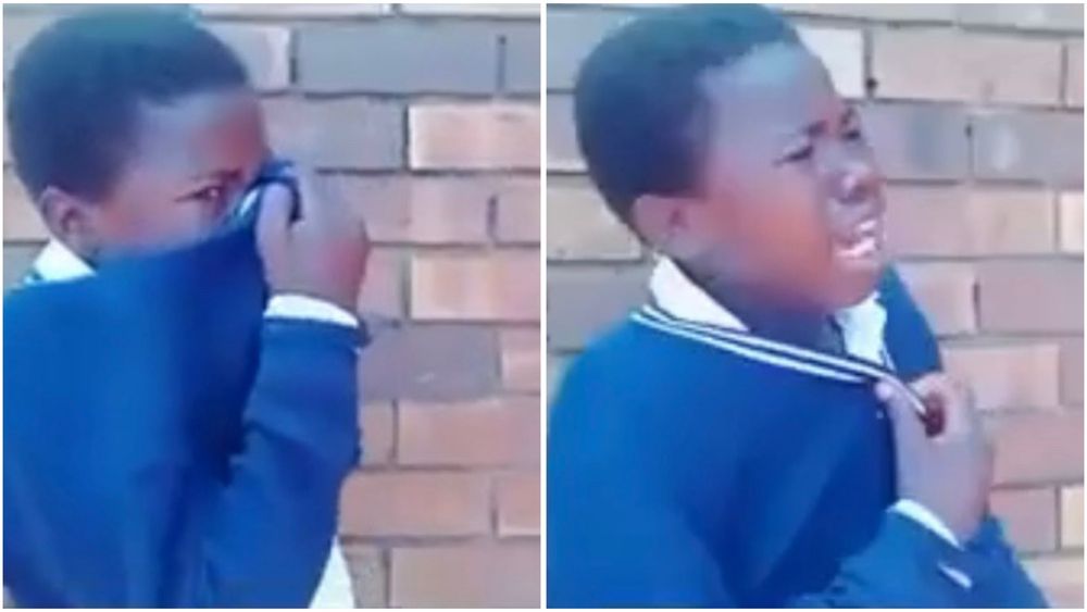 ‘It must stop now’: Limpopo Education MEC condemns bullying after ...