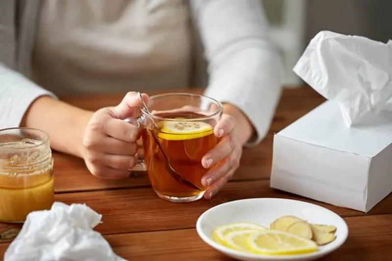 Rooibos gains tariff-free access to burgeoning Chinese market