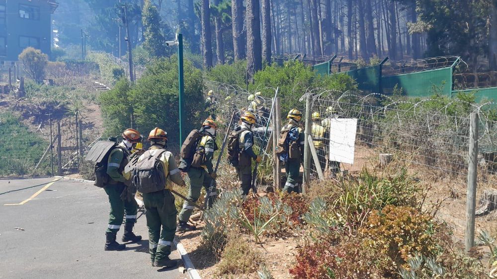 Firefighters tackle raging vegetation fires in Hout Bay and Camps Bay