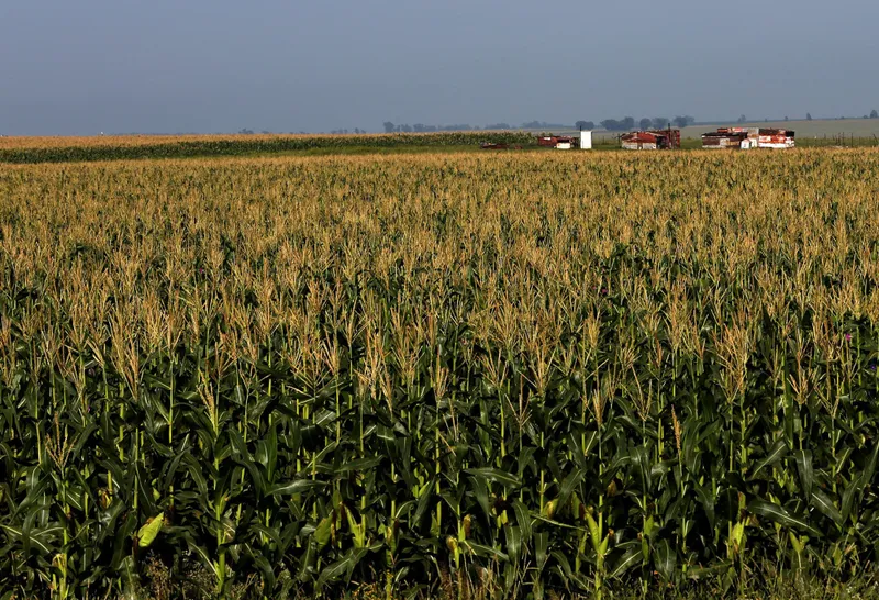 Farmers welcome G20’s strong commitment to agriculture, food security and open trade