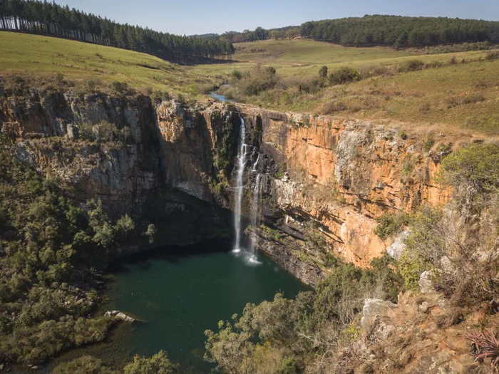 South African forests