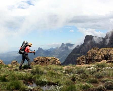 A hike through the woods feels natural. It’s anything but. - IOL