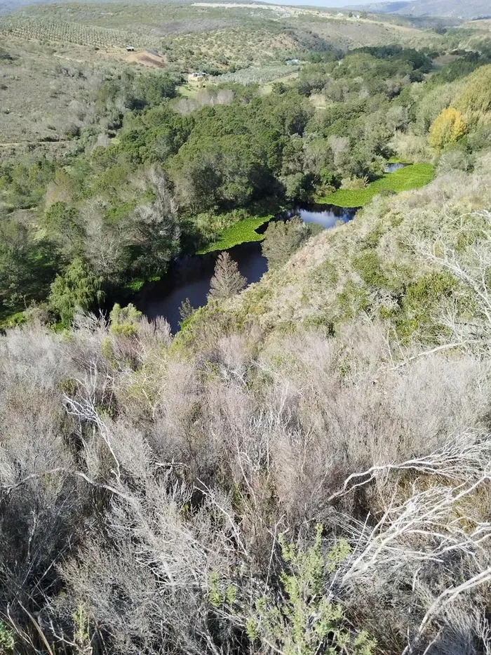 A view of the Goukou River in the Wild Rescue nature reserve. 