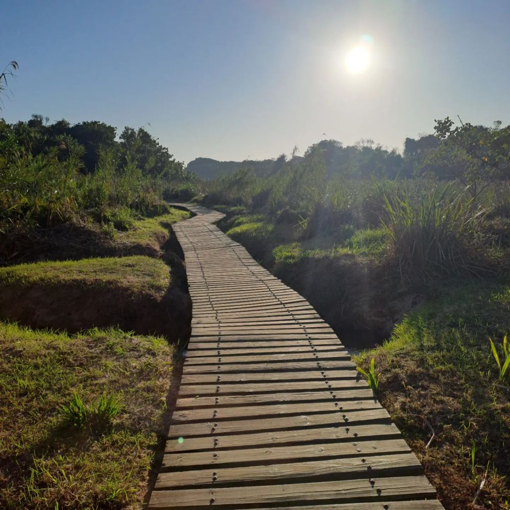 Feeling burned out? 6 Local winter escapes perfect for a midyear reset