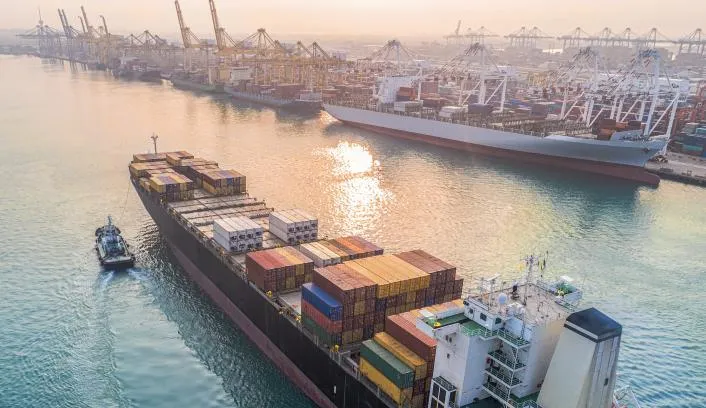 Singaporean firms seek deeper trade ties with South Africa as gateway to Asia