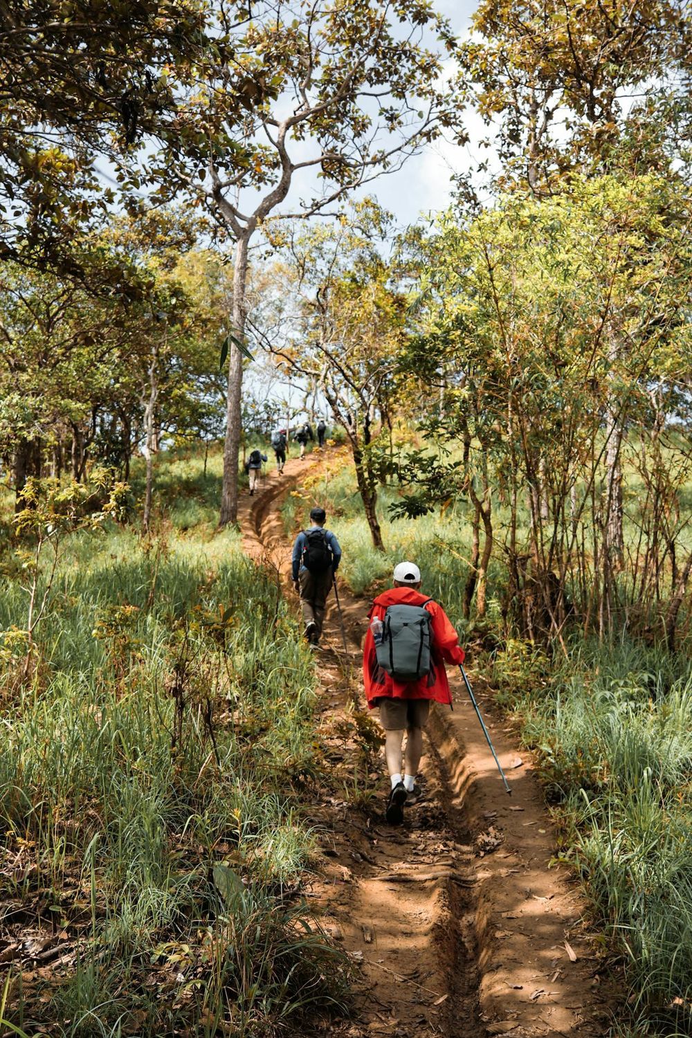 Don't be fooled: The deceptive Cape Town day hikes that will humble you