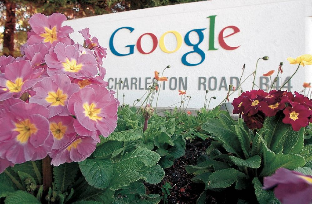 AIP rocked by governance crisis, favouritism allegations over R114m Google-backed fund