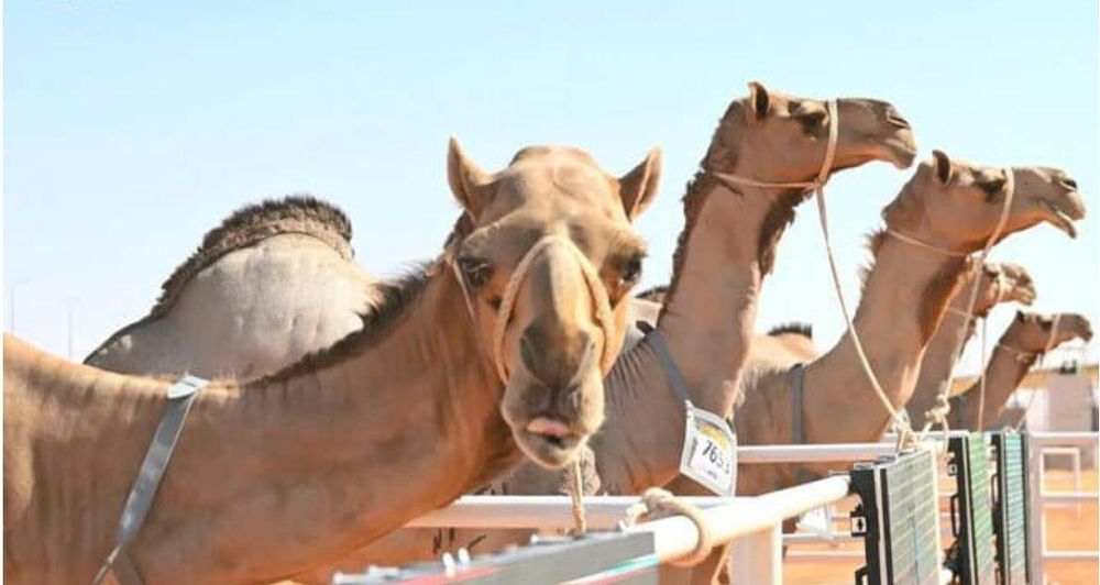 On This Day in History: Blood River, Cape Town Jazz Festival & Quantum Breakthroughs