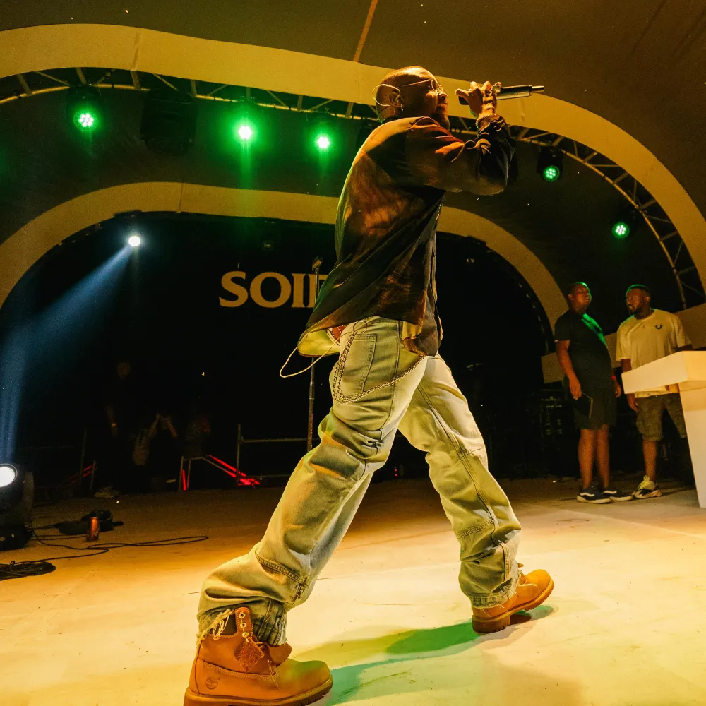 A musician performs at a music concert.