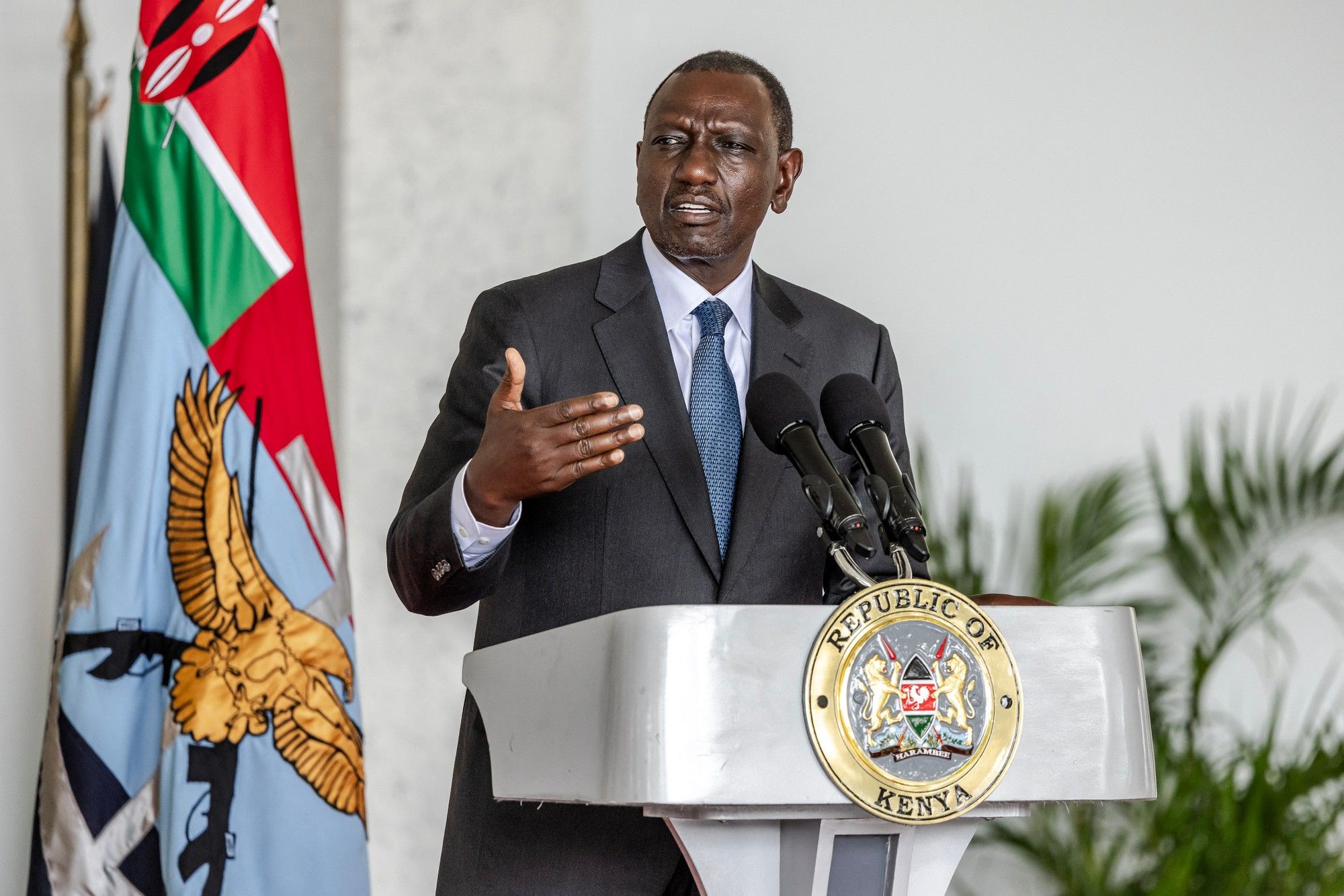 Ruto urges immediate ceasefire in DRC amid ongoing conflict