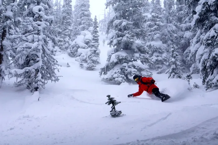 Scene from the author's 2018 trip to British Columbia's Revelstoke Mountain Resort, which is renowned for its abundance of tree skiing. Photo for The Washington Post by John Briley