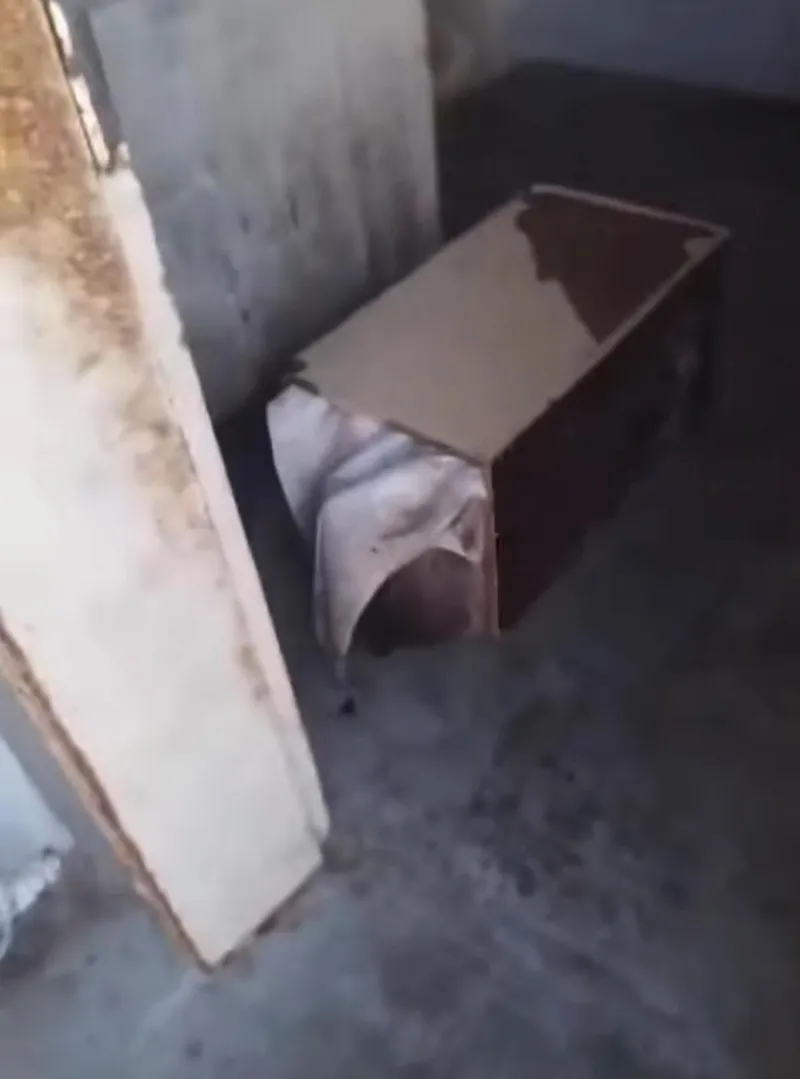 Shocking discovery in Hangberg: decomposed body found in abandoned house