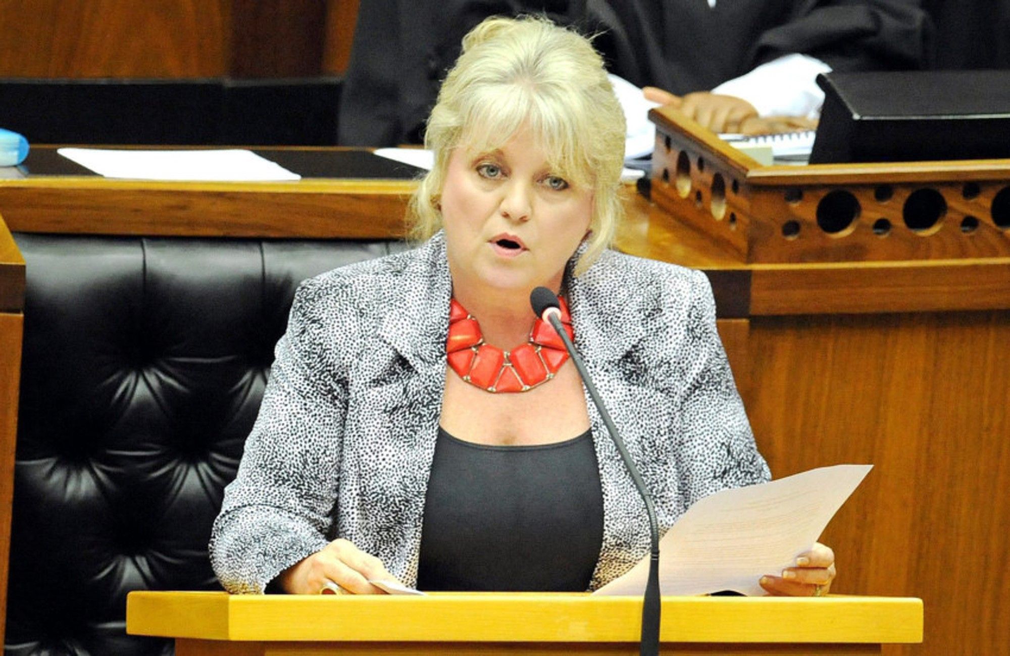 Dianne Kohler-Barnard expecting apology from Lt-General Nhlanhla Mkhwanazi ...