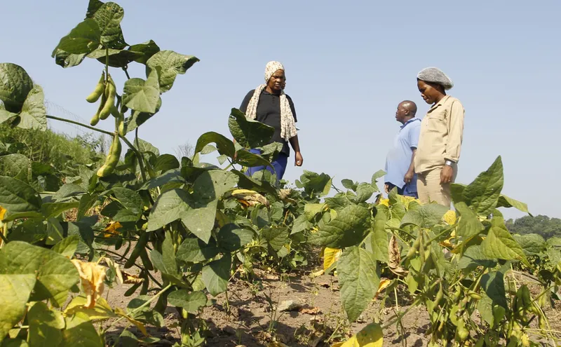 Tensions escalate between Izwi Labantu Forum and Deputy Minister over farmers' demands
