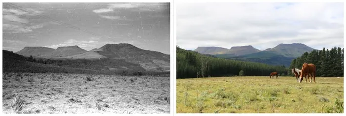 A landscape in Hogsback, South Africa, photographed in 1942 by J Acocks (left) and in 2016 by J du Toit. rePhotoSA