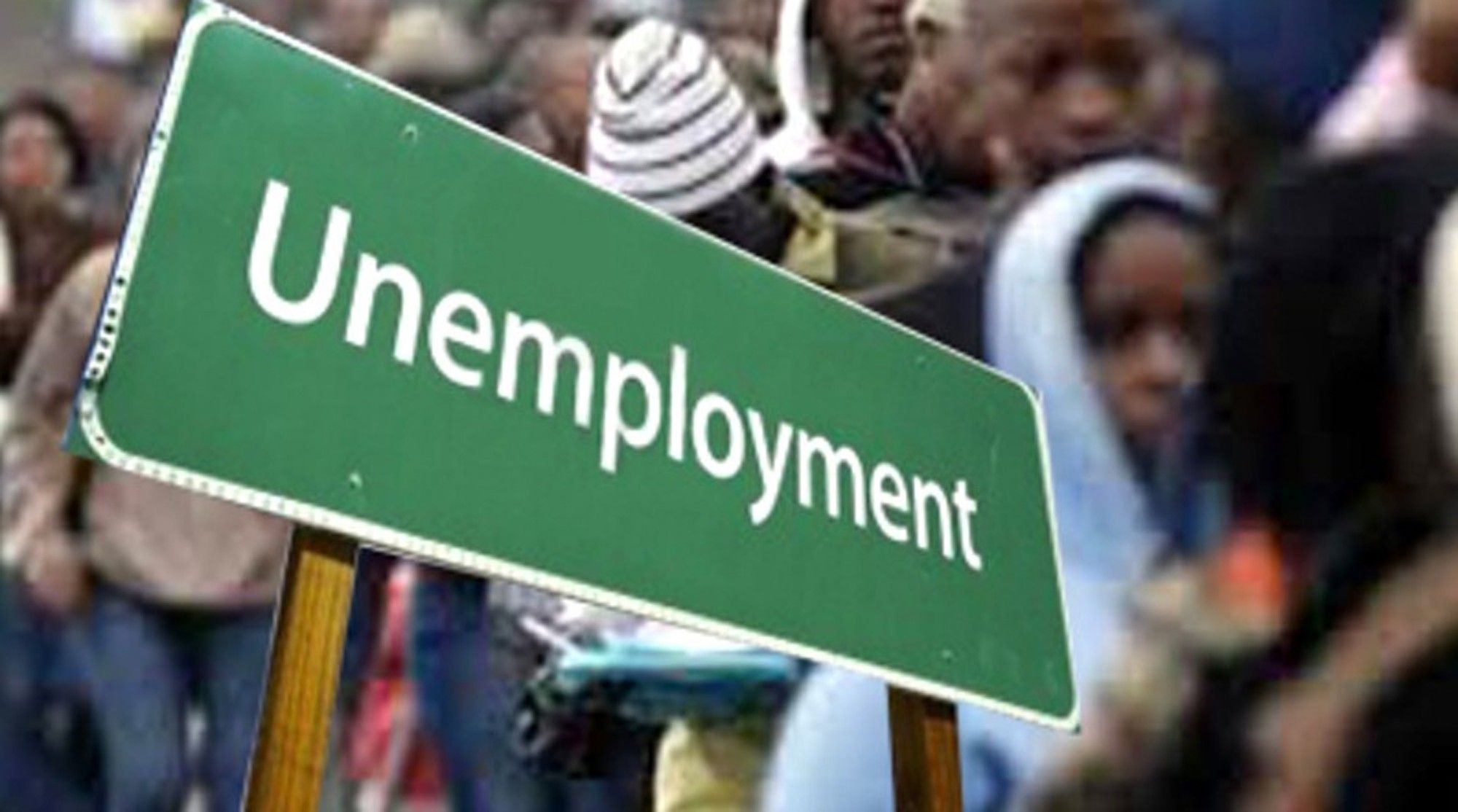 Saus Warns Credit Law Changes Could Worsen Youth Unemployment Crisis - b47bvmz