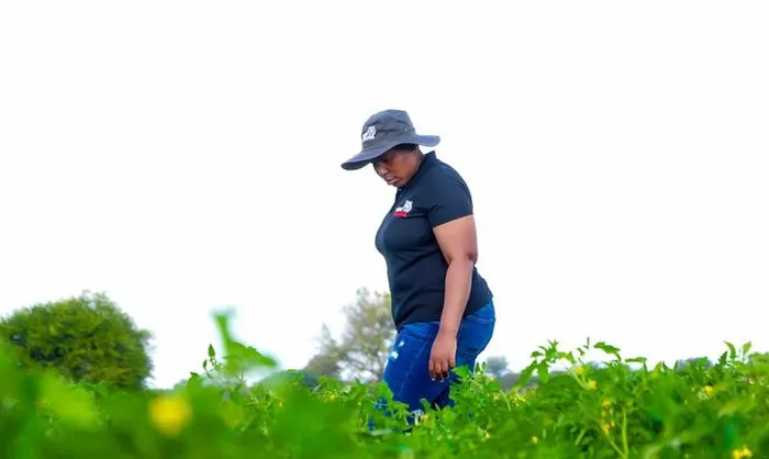 Petunia Molea walks her land at Godzwana General Farming which employs two permanent employees and 15 seasonal workers.