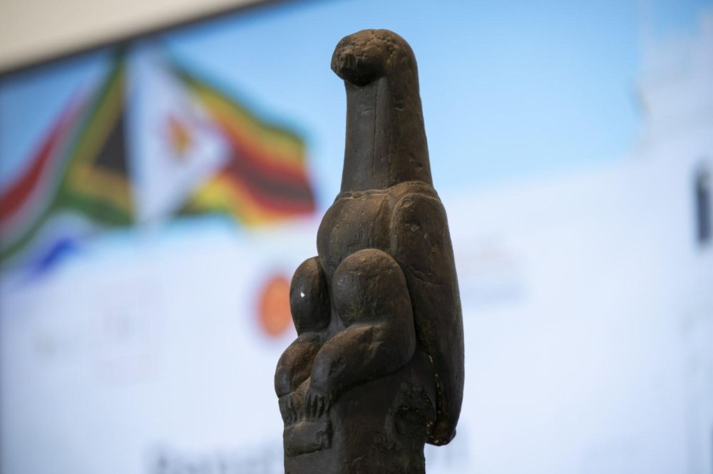 Zimbabwean Bird and human remains returned: a historic repatriation ceremony