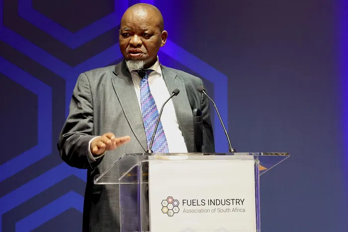 Minister of Mineral and Petroleum Resources Gwede Mantashe speaking at the Fuels Industry Imbizo in Johannesburg on Wednesday.